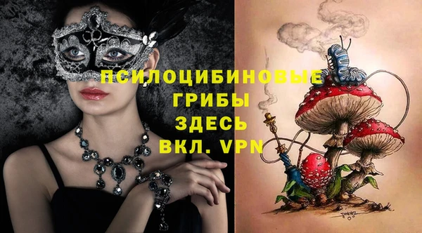 молекула духа Алексеевка