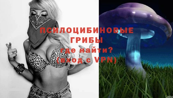 герыч Алзамай