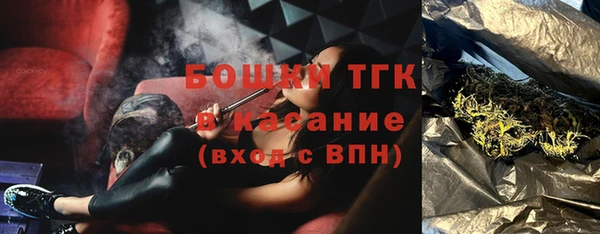 молекула духа Алексеевка