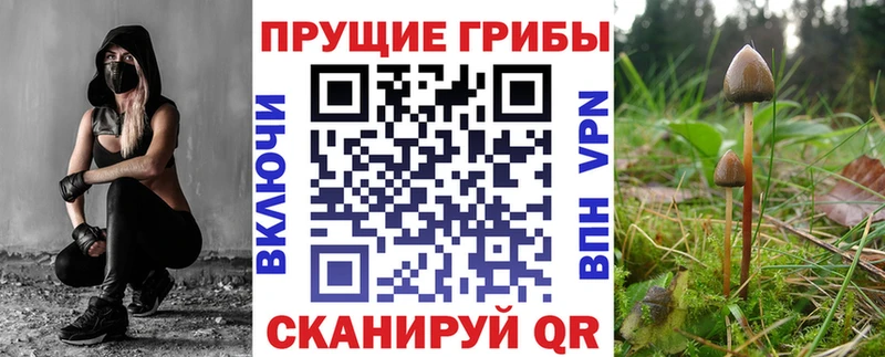 Купить  Николаевск  Галлюциногенные грибы мицелий 
